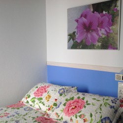 habitacion5